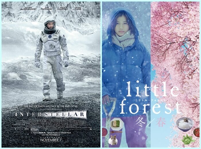 Poster - Interstellar+Little Forest