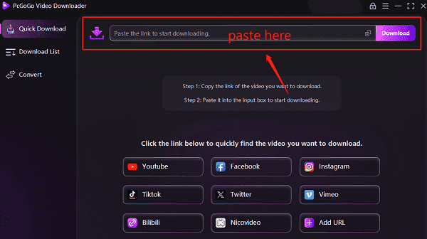 paste-video-link
